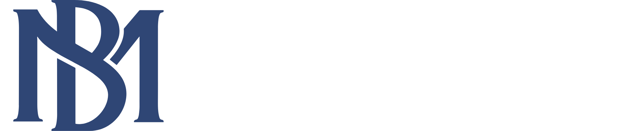 Magazine Buz